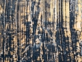 background-sense