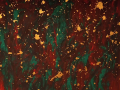 festive-dry