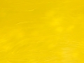 essence-of-presence-1